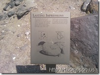 2009-06-09 12.02.09 - (IMAG0246)