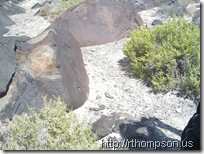 2009-06-09 12.02.09 - (IMAG0250)