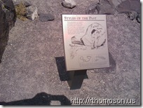 2009-06-09 12.02.09 - (IMAG0251)