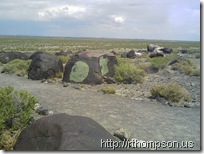 2009-06-09 12.02.09 - (IMAG0260)