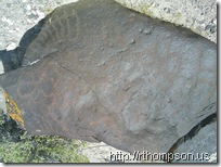 2009-06-09 12.02.09 - (IMAG0262)