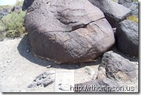 2009-06-09 12.58.33 - (100_0671)