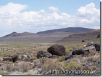 2009-06-09 13.02.58 - (100_0674)