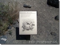 2009-06-09 13.08.05 - (100_0679)