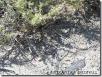 2009-06-09 13.11.02 - (100_0681)