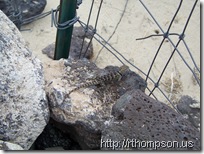 2009-06-09 14.15.11 - (100_0693)