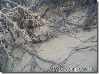 2009-06-09 14.20.21 - (100_0694)