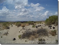 2009-06-09 14.24.42 - (100_0697)