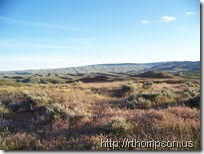 2009-06-12 20.04.22 - (100_0717)