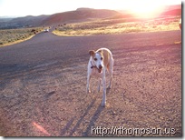 2009-06-12 20.29.56 - (100_0731)