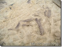 2009-06-13 10.34.22 - (100_0737)