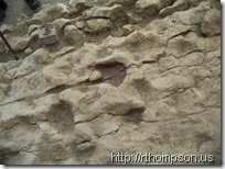 2009-06-13 10.34.35 - (100_0738)