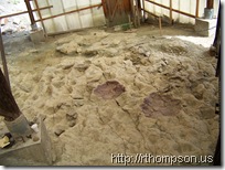 2009-06-13 10.35.16 - (100_0739)