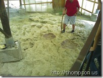 2009-06-13 10.35.42 - (IMAG0322)