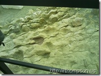 2009-06-13 10.35.42 - (IMAG0323)