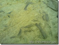 2009-06-13 10.35.42 - (IMAG0324)