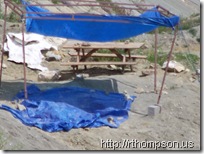 2009-06-13 10.50.01 - (100_0741)