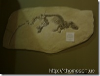 2009-06-13 10.59.11 - (IMAG0333)