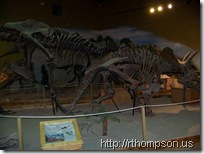 2009-06-13 11.03.02 - (100_0749)