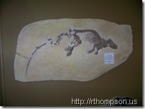 2009-06-13 11.03.14 - (100_0750)