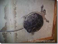 2009-06-13 11.03.23 - (100_0751)