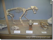 2009-06-13 11.03.40 - (100_0753)