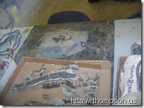 2009-06-13 11.04.43 - (100_0756)