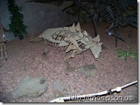 2009-06-13 11.05.24 - (100_0758)