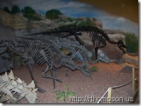 2009-06-13 11.05.28 - (100_0759)