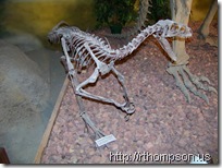 2009-06-13 11.05.50 - (100_0760)