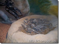 2009-06-13 11.06.17 - (100_0761)