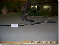 2009-06-13 11.06.57 - (100_0762)