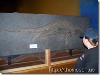 2009-06-13 11.07.18 - (100_0763)