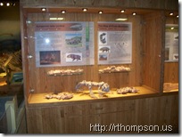 2009-06-13 11.09.23 - (100_0767)