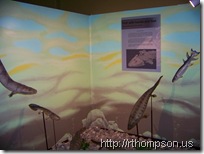 2009-06-13 11.09.33 - (100_0768)