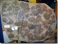 2009-06-13 11.11.03 - (100_0770)