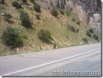 2009-06-13 13.14.16 - (IMAG0340)