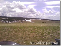 2009-06-13 13.46.12 - (IMAG0348)