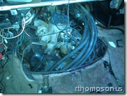 IMG_20101120_210450
