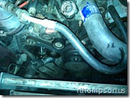 IMG_20101124_205106